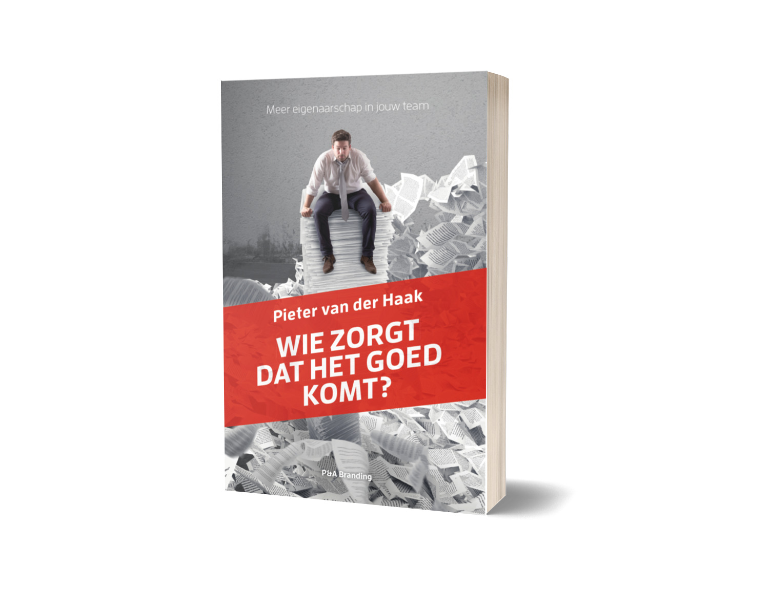 boek eigenaarschap wie zorgt dat het goed komt pieter van der haak